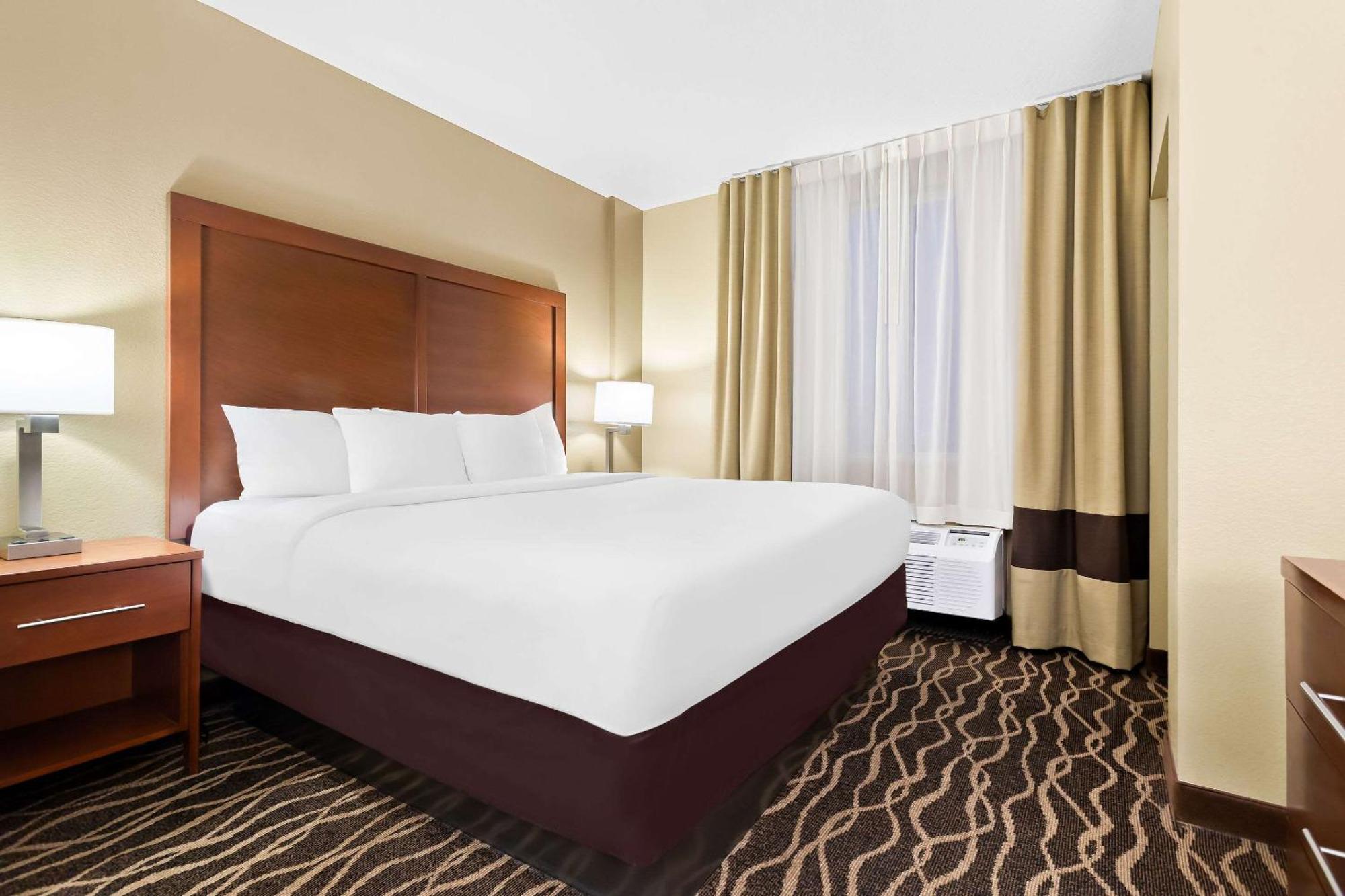Comfort Suites Tampa Airport North Zewnętrze zdjęcie