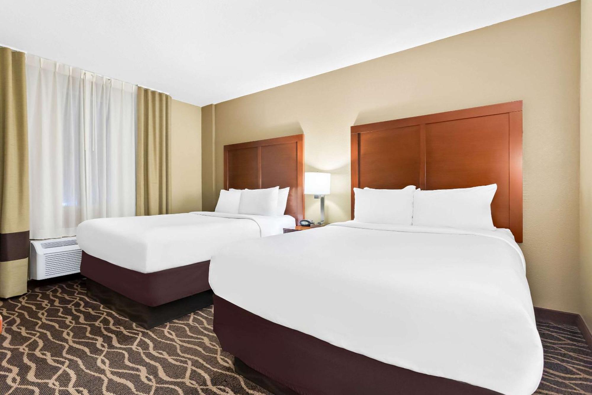 Comfort Suites Tampa Airport North Zewnętrze zdjęcie