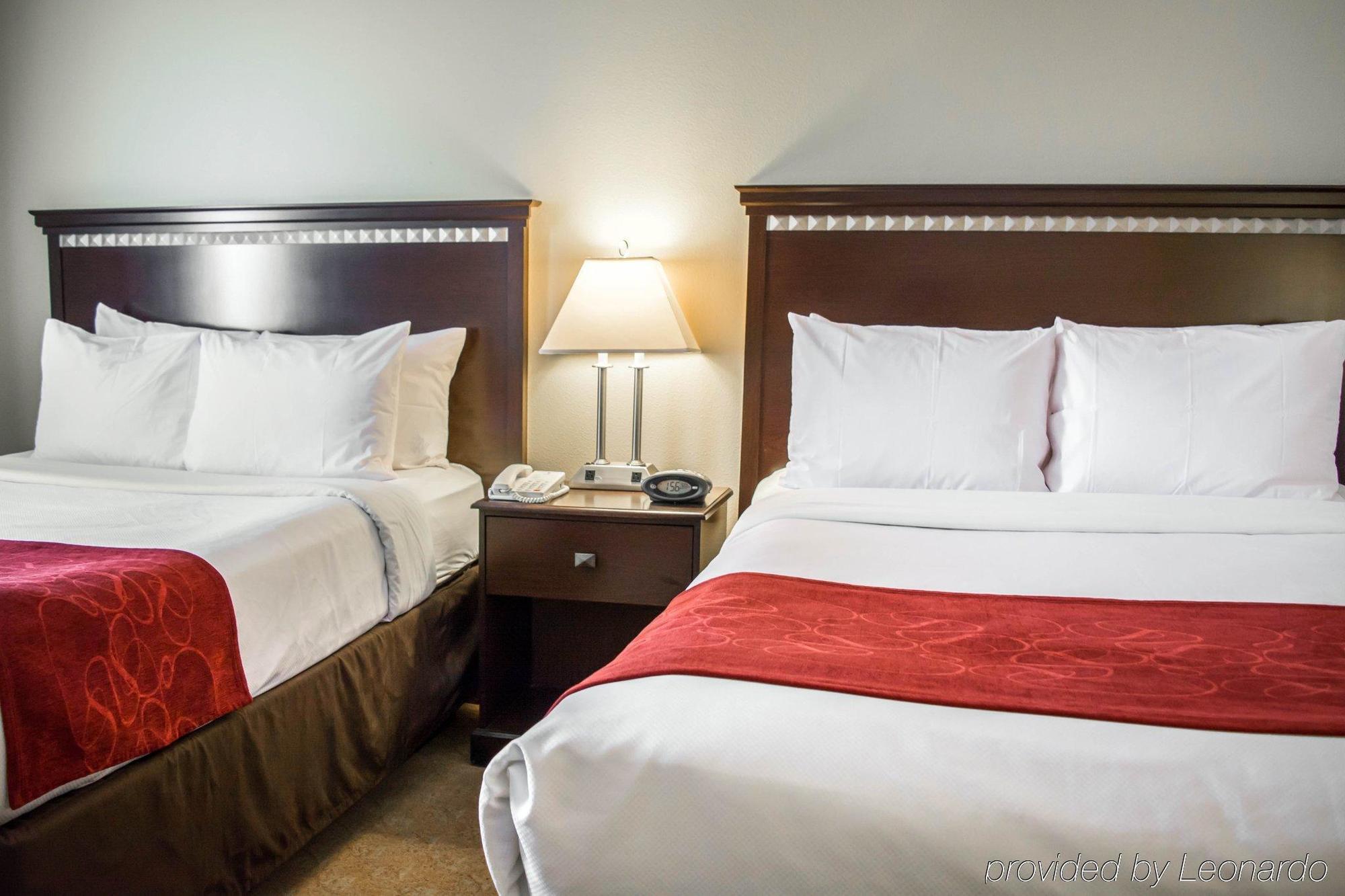 Comfort Suites Tampa Airport North Zewnętrze zdjęcie