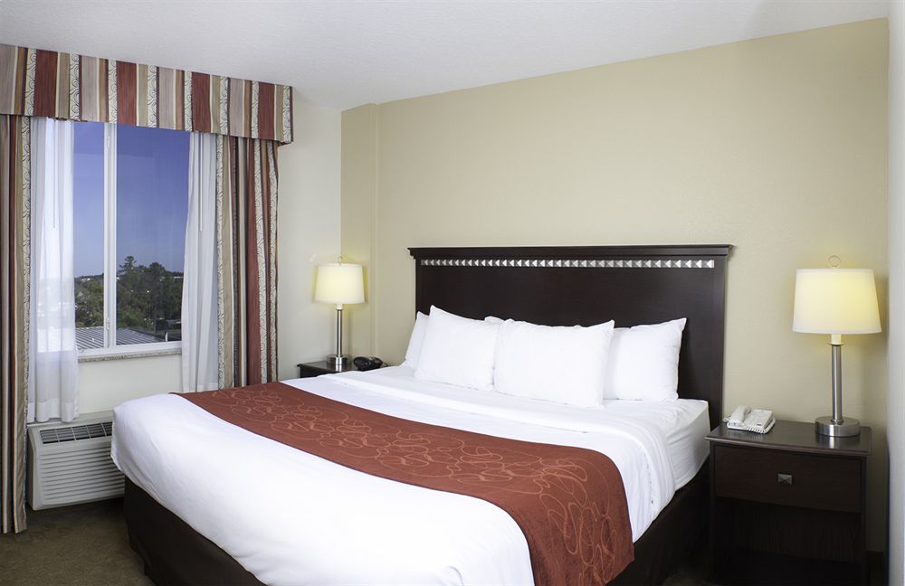 Comfort Suites Tampa Airport North Zewnętrze zdjęcie