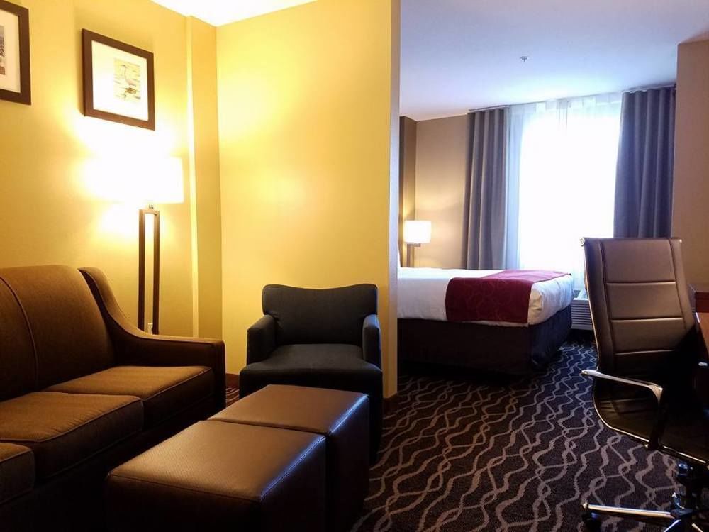 Comfort Suites Tampa Airport North Zewnętrze zdjęcie
