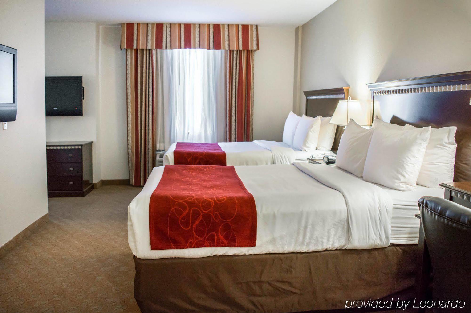 Comfort Suites Tampa Airport North Zewnętrze zdjęcie